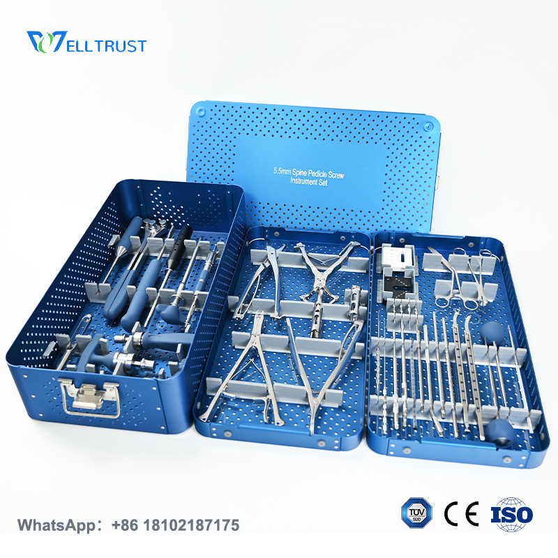 Spinal Pedicle Screw System