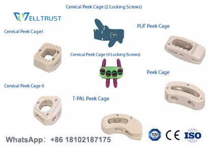Complete‑Range Cervical & Lumbar Peek Cages Offered By Well‑Trust