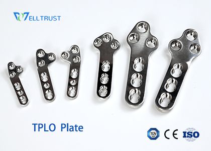 TPLO Plate: Design, Sizes and Veterinary Orthopaedic Applications