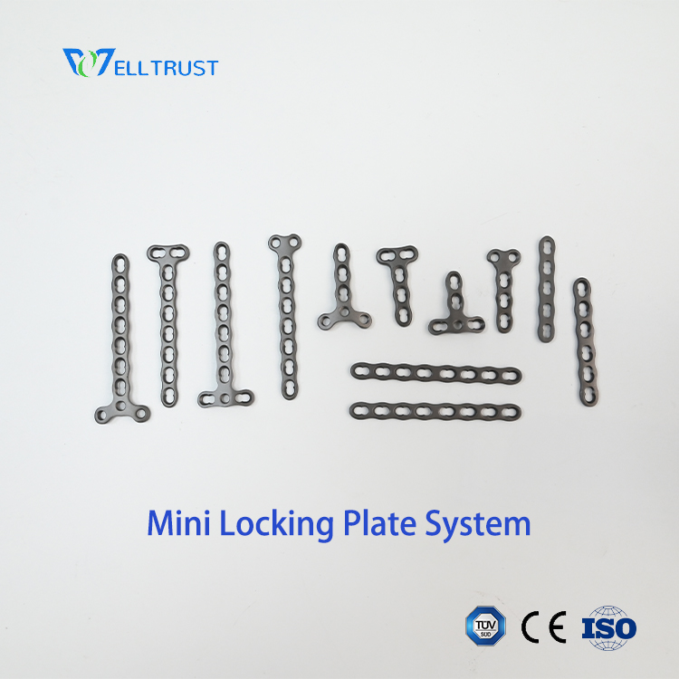 Mini Locking Plate System