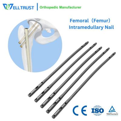 Femoral (Femur) Intramedullary Nail