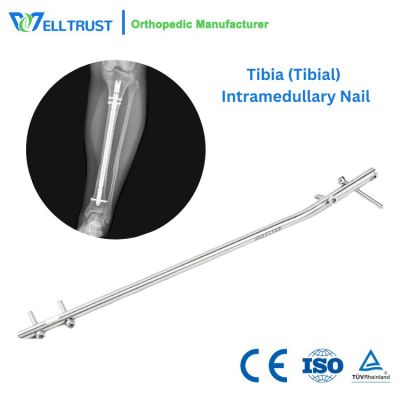 Tibia (Tibial) Intramedullary Nail